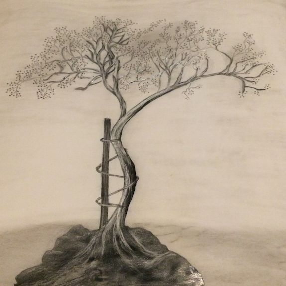 Ampliar imagen: Hospital San José Satélite