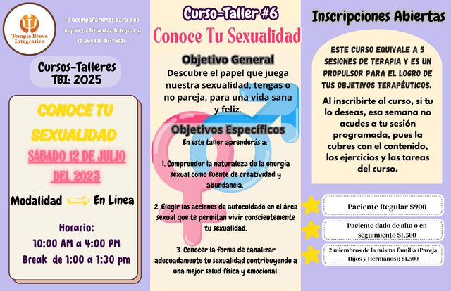 Ampliar imagen: Terapia Breve Integrativa