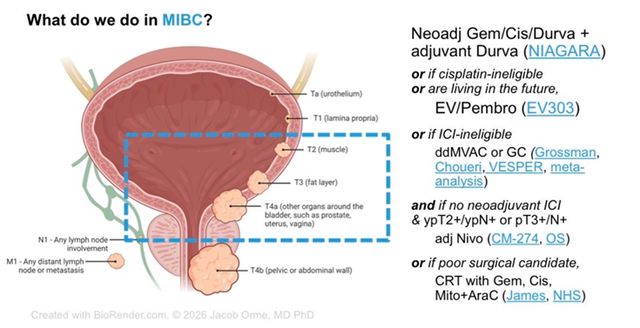 Ampliar imagen: Consulta Online