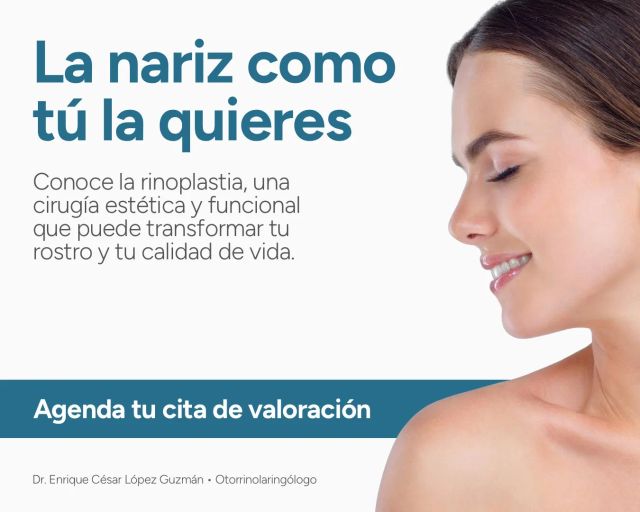 Ampliar imagen: Consultas en línea