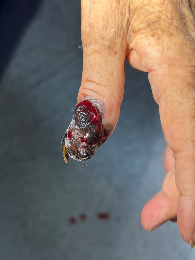 Ampliar imagen: Hospital Moscati