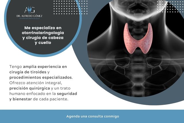 Ampliar imagen: Consultas en línea