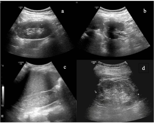 Ampliar imagen: Consulta privada