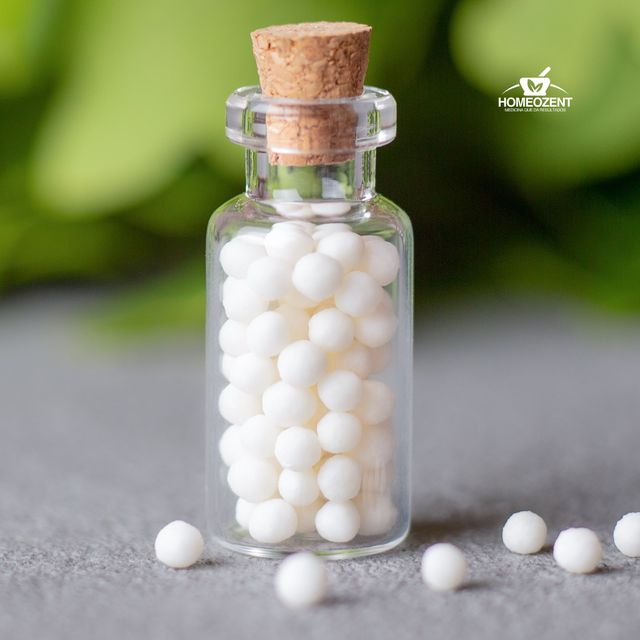 Ampliar imagen: Homeozent Bienestar