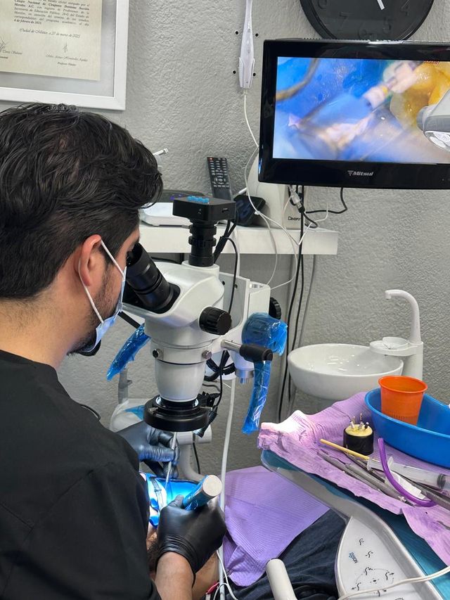 Ampliar imagen: Dental Gaia