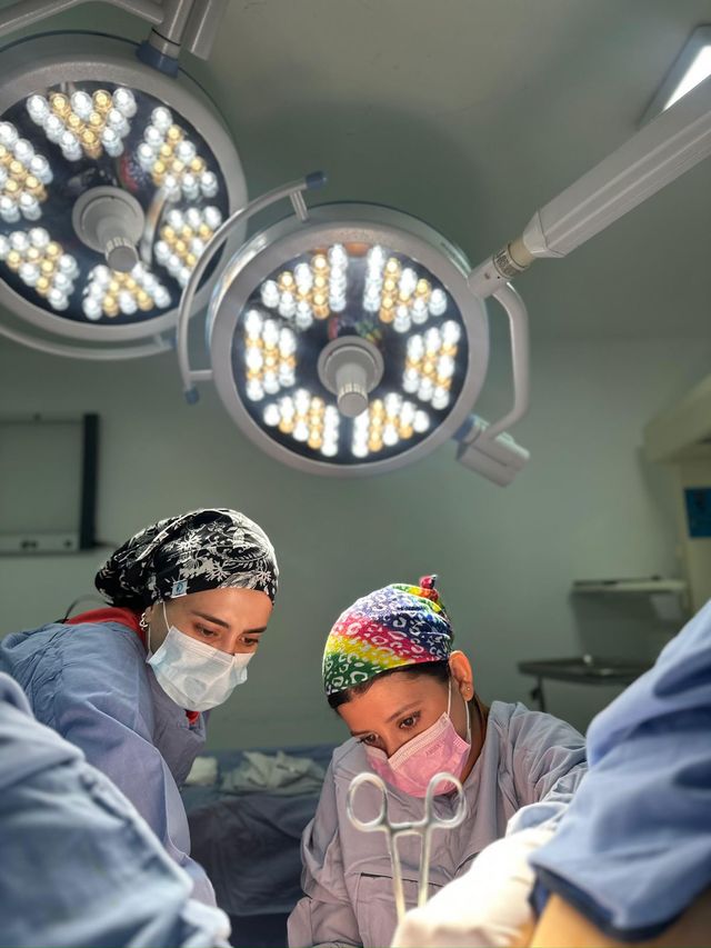 Ampliar imagen: GINECOLOGIA Y OBSTETRICIA