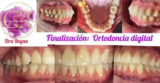 Ampliar imagen: dental house