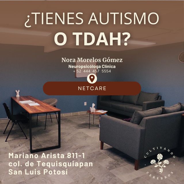 Ampliar imagen: Netcare