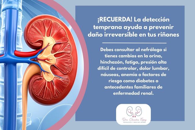 Ampliar imagen: Consulta Nefrológica
