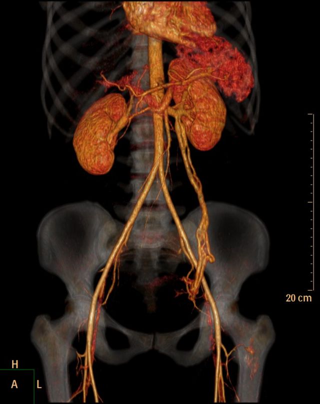 Ampliar imagen: Dr. Isidro Vega Lizama