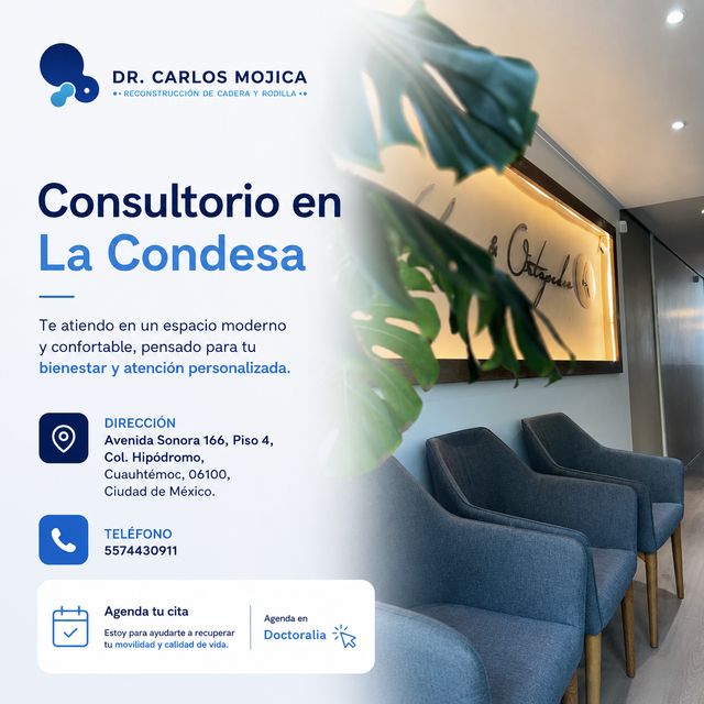 Ampliar imagen: Condesa
