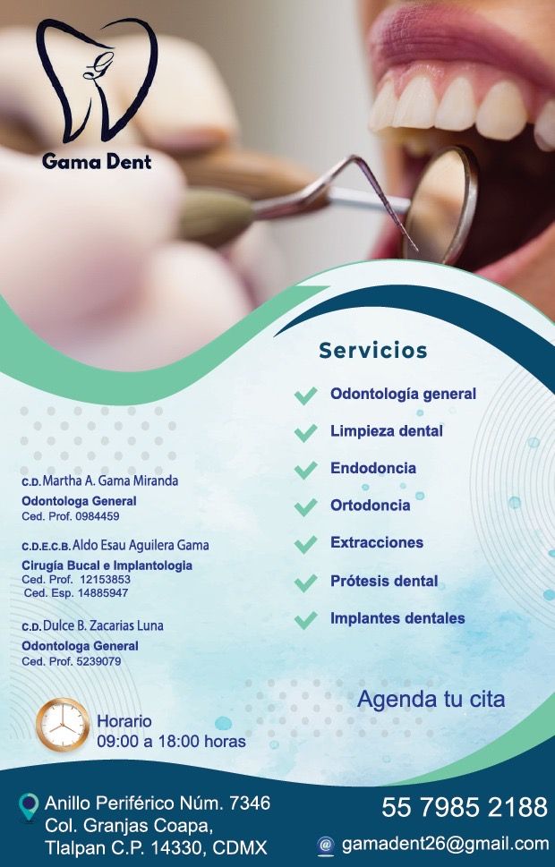 Ampliar imagen: Gama Dent