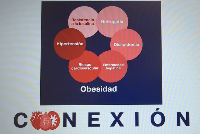 Ampliar imagen: Dr. Javier Alarcon Alanis