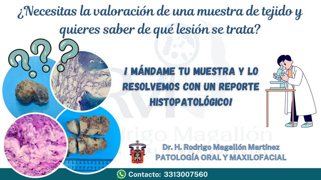 Ampliar imagen: Unidad Clínica Odontológica "Dr. Jesús Miguel Magallón Torres"