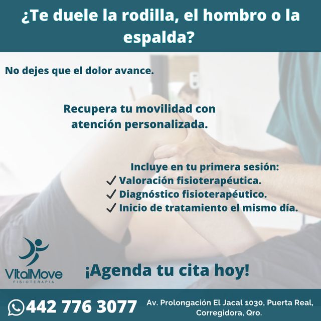 Ampliar imagen: VitalMove Fisioterapia