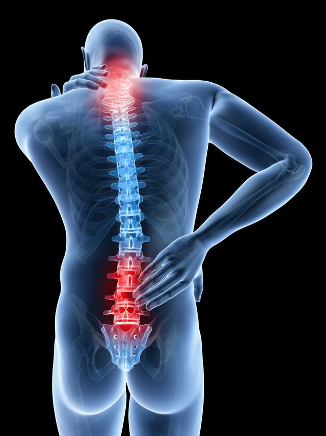 Ampliar imagen: Centro Internacional de Columna Vertebral CICOVE