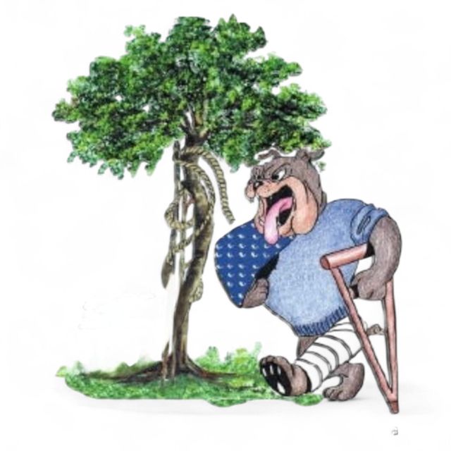 Ampliar imagen: VI Dental