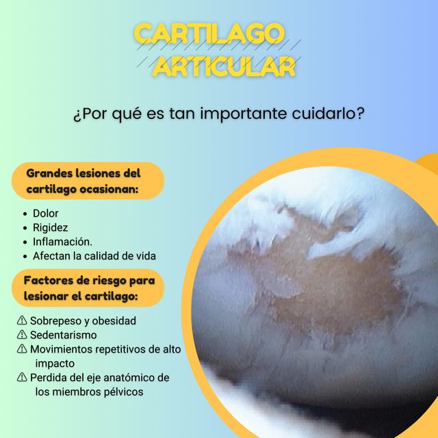 Ampliar imagen: Centro Médico de Toluca, Torre 2, Consultorio 506