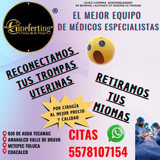 Ampliar imagen: Gineferting AMANALCO