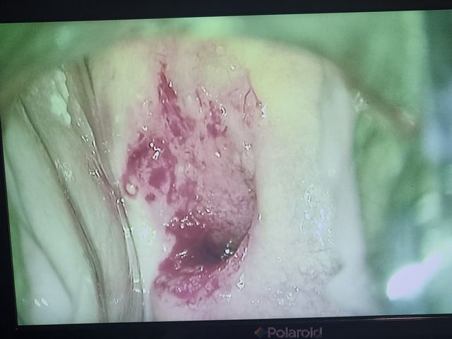 Ampliar imagen: Consultorio privado