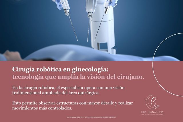 Ampliar imagen: Calle Edmundo O Gorman 1571