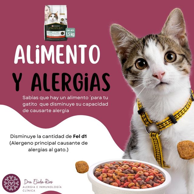 Ampliar imagen: Consulta de Alergia e Inmunología