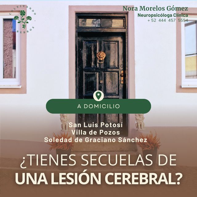 Ampliar imagen: A domicilio