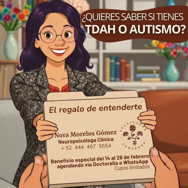 Ampliar imagen: Netcare