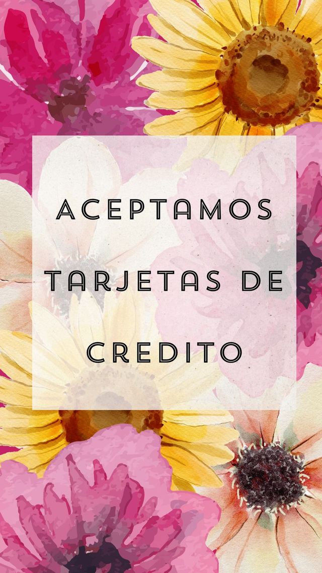 Ampliar imagen: Hospital Mac Celaya