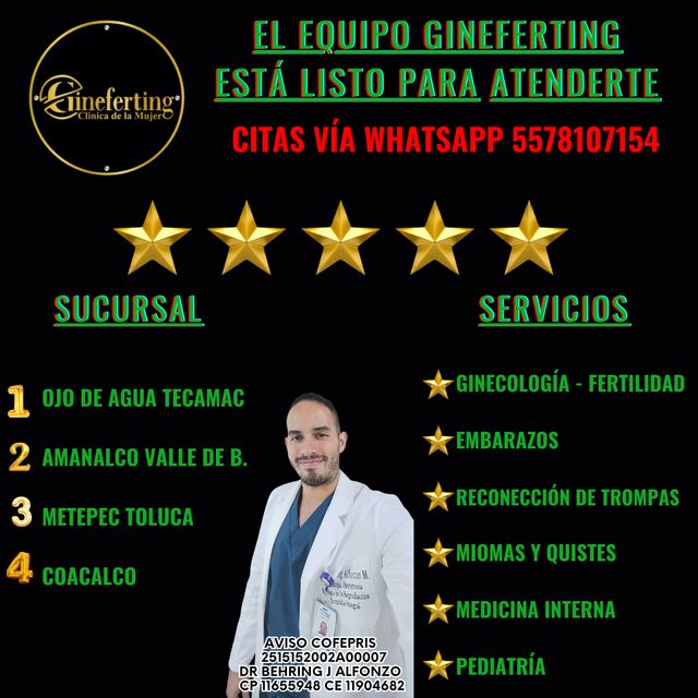 Ampliar imagen: Consultas en línea