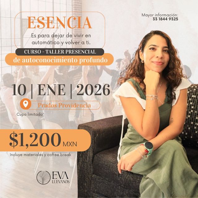 Ampliar imagen: Consulta en línea