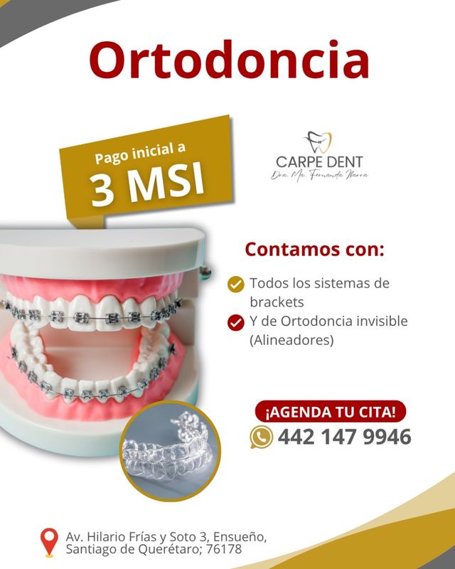 Ampliar imagen: CARPE DENT. Dra María Fernanda Ibarra V