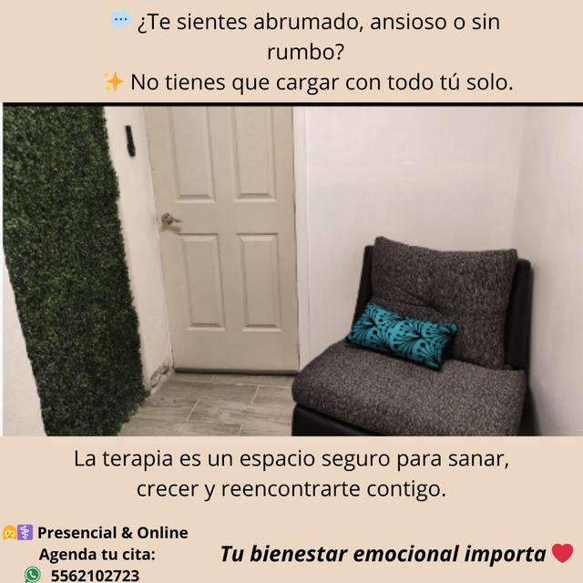 Ampliar imagen: Sery Tu Espacio Seguro