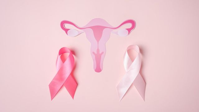 Ampliar imagen: Dra Rosa María Tufiño Loza GyO.