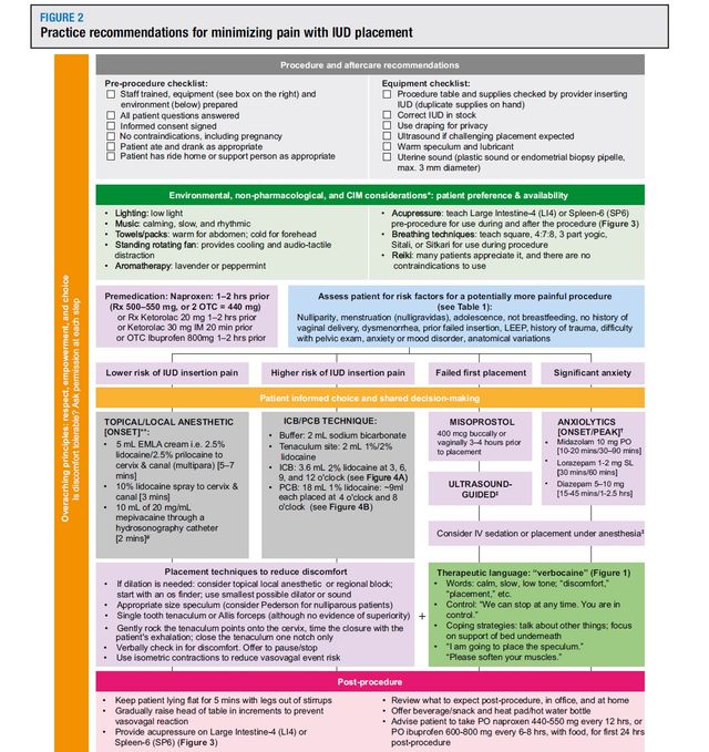 Ampliar imagen: Ginecología y Obstetricia