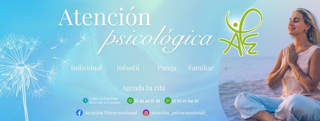 Ampliar imagen: Consulta en línea