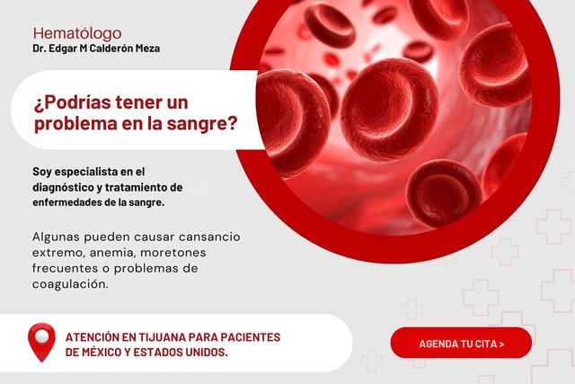 Ampliar imagen: Consulta en línea