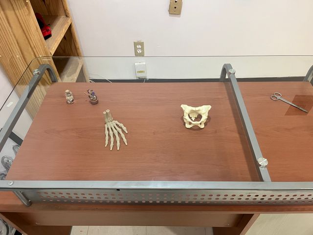 Ampliar imagen: Ángeles MOCEL