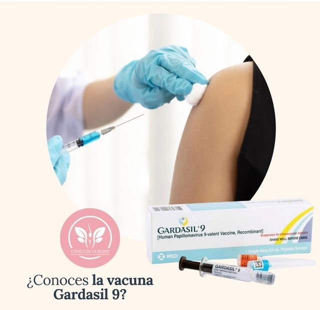 Ampliar imagen: CEM COLIBRI