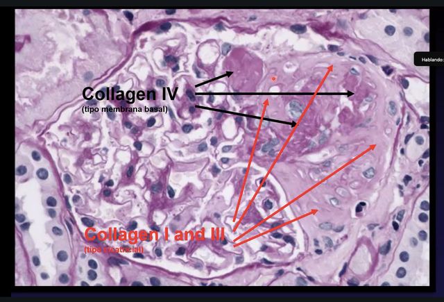 Ampliar imagen: Consultas en línea