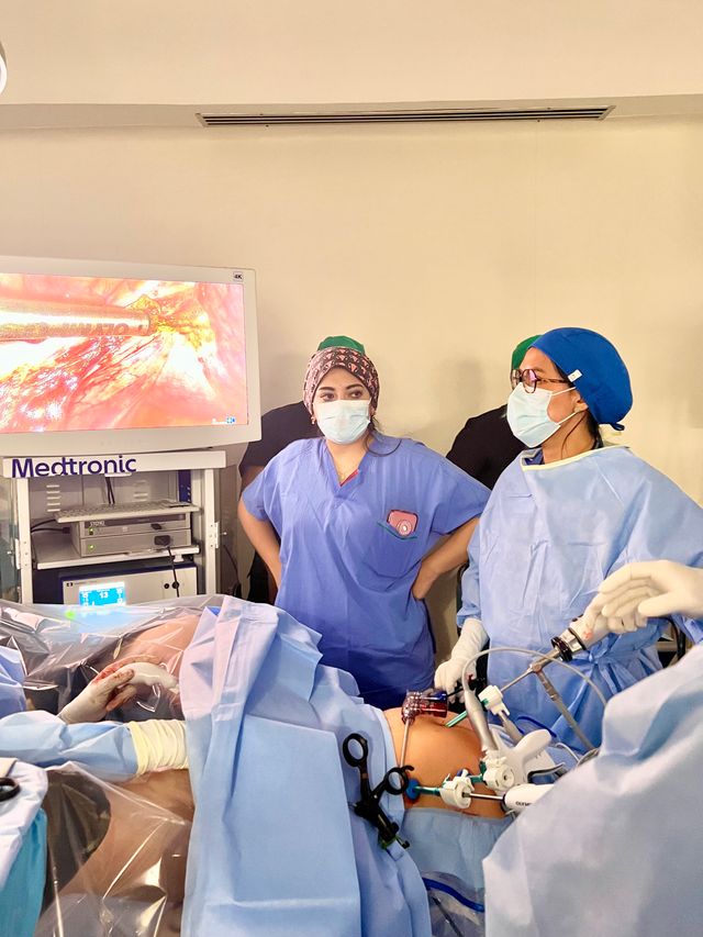 Ampliar imagen: Ginecología endocrina/Obstetricia/Cirugía de mínima invasión/Colposcopia.