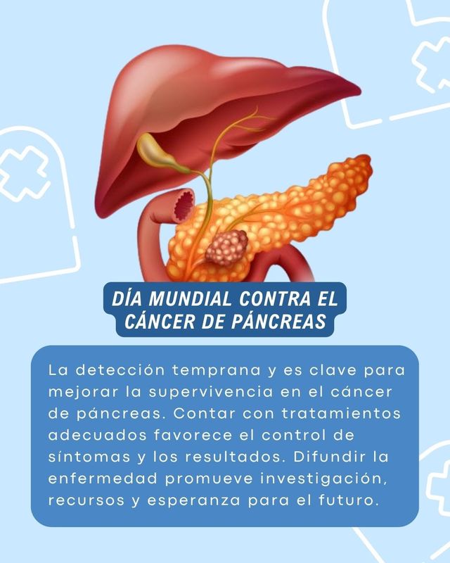 Ampliar imagen: Andador Médico Roma Norte