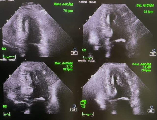 Ampliar imagen: HOSPITAL CMQ PREMIERE