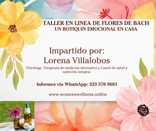 Ampliar imagen: consulta en linea