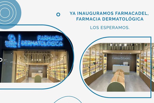 Ampliar imagen: Consulta en línea