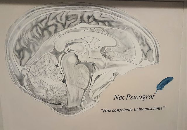 Ampliar imagen: ONLINE Psicología Neuropsicología Sexualidad NecPsicograf