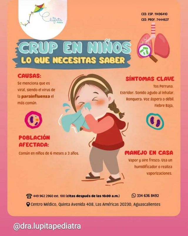 Ampliar imagen: Quinta Avenida Centro Médico