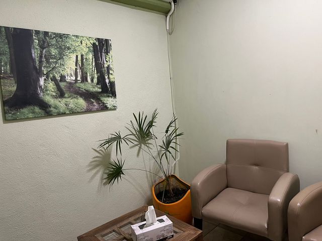 Ampliar imagen: A la Sombra del Árbol