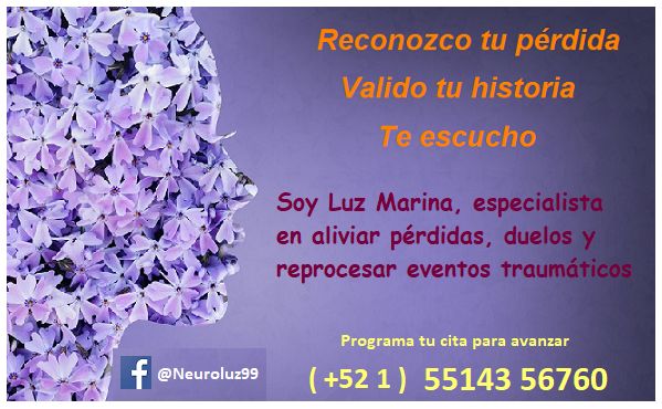 Ampliar imagen: Consultas en línea