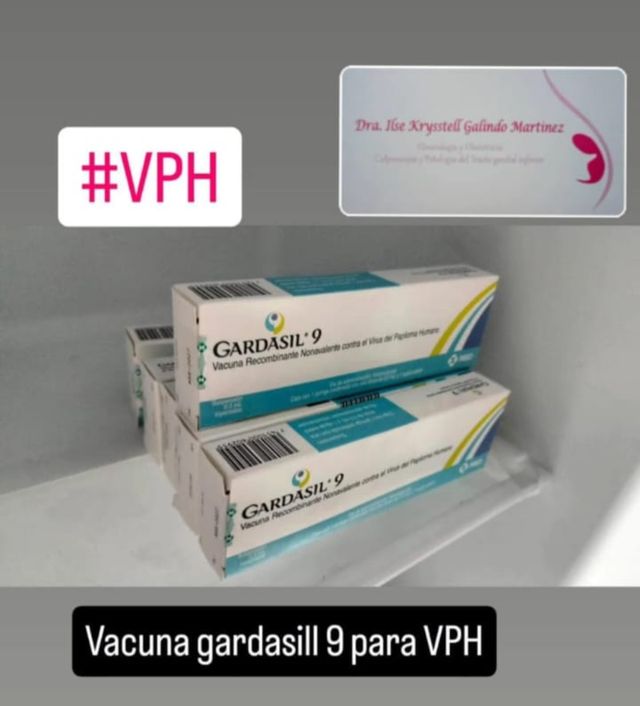 Ampliar imagen: Dra Ilse Krysstell Galindo Martinez Ginecóloga